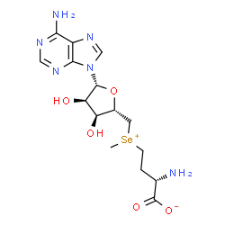 ChemSpider 2D Image | (2S)-2-Amino-4-[{[(2S,3S,4R,5R)-5-(6-amino-9H-purin-9-yl)-3,4-dihydroxytetrahydro-2-furanyl]methyl}(methyl)selenonio]butanoate (non-preferred name) | C15H22N6O5Se