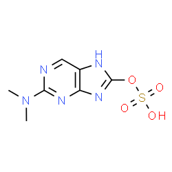 ChemSpider 2D Image | 2-(Dimethylamino)-7H-purin-8-yl hydrogen sulfate | C7H9N5O4S