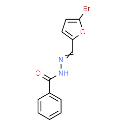 ChemSpider 2D Image | N'-[(5-Bromo-2-furyl)methylene]benzohydrazide | C12H9BrN2O2