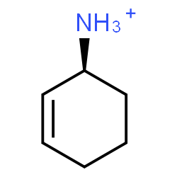 ChemSpider 2D Image | (1S)-2-Cyclohexen-1-aminium | C6H12N