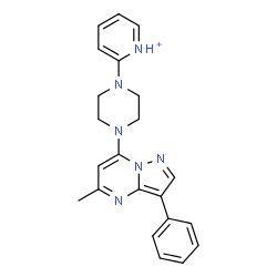 ChemSpider 2D Image | 2-[4-(5-Methyl-3-phenylpyrazolo[1,5-a]pyrimidin-7-yl)-1-piperazinyl]pyridinium | C22H23N6