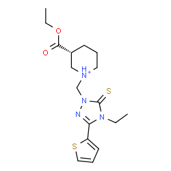 ChemSpider 2D Image | (3R)-3-(Ethoxycarbonyl)-1-{[4-ethyl-3-(2-thienyl)-5-thioxo-4,5-dihydro-1H-1,2,4-triazol-1-yl]methyl}piperidinium | C17H25N4O2S2