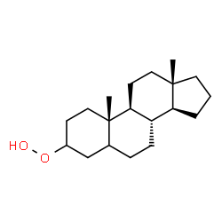 ChemSpider 2D Image | Androstan-3-yl hydroperoxide | C19H32O2