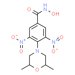 ChemSpider 2D Image | 4-(2,6-Dimethyl-4-morpholinyl)-N-hydroxy-3,5-dinitrobenzamide | C13H16N4O7
