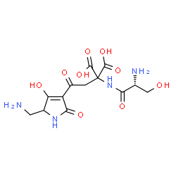 ChemSpider 2D Image | 2-(Aminomethyl)-3-hydroxy-5-oxo-4-(D-seryl-2-carboxy-beta-aspartyl)-2,5-dihydro-1H-pyrrole | C13H18N4O9