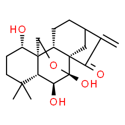 ChemSpider 2D Image | (1alpha,5beta,6beta,7alpha,8alpha,9beta,10alpha)-1,6,7-Trihydroxy-7,20-epoxykaur-16-en-15-one | C20H28O5