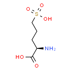 ChemSpider 2D Image | 5-Sulfo-D-norvaline | C5H11NO5S