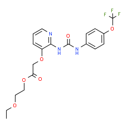 ChemSpider 2D Image | 2-Ethoxyethyl {[2-({[4-(trifluoromethoxy)phenyl]carbamoyl}amino)-3-pyridinyl]oxy}acetate | C19H20F3N3O6