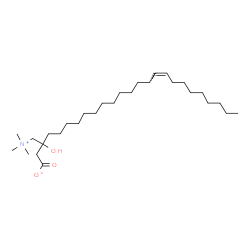 ChemSpider 2D Image | (16Z)-3-Hydroxy-3-[(trimethylammonio)methyl]-16-pentacosenoate | C29H57NO3