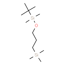 ChemSpider 2D Image | (3-{[Dimethyl(2-methyl-2-propanyl)silyl]oxy}propyl)(trimethyl)silane | C12H30OSi2