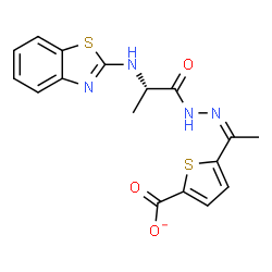 ChemSpider 2D Image | 5-{(1Z)-N-[(2S)-2-(1,3-Benzothiazol-2-ylamino)propanoyl]ethanehydrazonoyl}-2-thiophenecarboxylate | C17H15N4O3S2