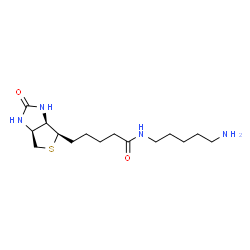 ChemSpider 2D Image | N-(5-Aminopentyl)-5-[(3aR,4R,6aS)-2-oxohexahydro-1H-thieno[3,4-d]imidazol-4-yl]pentanamide | C15H28N4O2S
