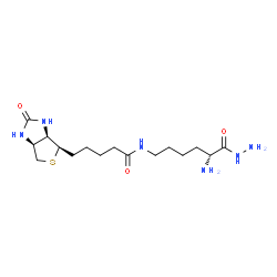 ChemSpider 2D Image | N-[(5R)-5-Amino-6-hydrazino-6-oxohexyl]-5-[(3aR,4R,6aS)-2-oxohexahydro-1H-thieno[3,4-d]imidazol-4-yl]pentanamide (non-preferred name) | C16H30N6O3S