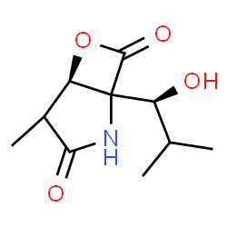 ChemSpider 2D Image | (5R)-1-[(1S)-1-Hydroxy-2-methylpropyl]-4-methyl-6-oxa-2-azabicyclo[3.2.0]heptane-3,7-dione | C10H15NO4