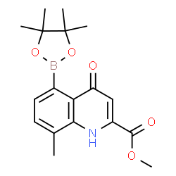ChemSpider 2D Image | Methyl 8-methyl-4-oxo-5-(4,4,5,5-tetramethyl-1,3,2-dioxaborolan-2-yl)-1,4-dihydro-2-quinolinecarboxylate | C18H22BNO5