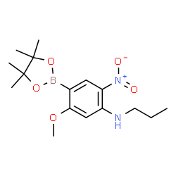 ChemSpider 2D Image | 5-Methoxy-2-nitro-N-propyl-4-(4,4,5,5-tetramethyl-1,3,2-dioxaborolan-2-yl)aniline | C16H25BN2O5