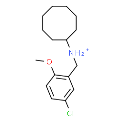 ChemSpider 2D Image | N-(5-Chloro-2-methoxybenzyl)cyclooctanaminium | C16H25ClNO