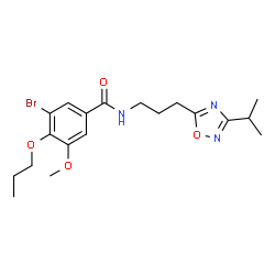 ChemSpider 2D Image | 3-Bromo-N-[3-(3-isopropyl-1,2,4-oxadiazol-5-yl)propyl]-5-methoxy-4-propoxybenzamide | C19H26BrN3O4