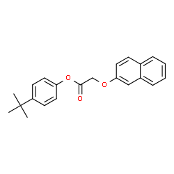 ChemSpider 2D Image | 4-tert-butylphenyl (2-naphthyloxy)acetate | C22H22O3