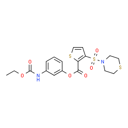 ChemSpider 2D Image | 3-[(Ethoxycarbonyl)amino]phenyl 3-(4-thiomorpholinylsulfonyl)-2-thiophenecarboxylate | C18H20N2O6S3