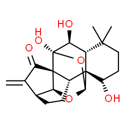 ChemSpider 2D Image | (1R,2S,5S,8R,9S,11S,13S,14S,15R,19S)-13,14,19-Trihydroxy-16,16-dimethyl-6-methylene-10,12-dioxahexacyclo[9.8.0.0~1,15~.0~2,8~.0~5,9~.0~8,13~]nonadecan-7-one | C20H26O6