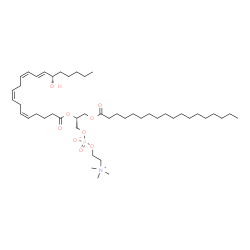 ChemSpider 2D Image | 1-Stearoyl-2-15(S)-HETE-sn-glycero-3-PC | C46H84NO9P