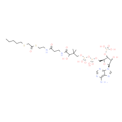 ChemSpider 2D Image | S-{1-[(2S,3R,4S,5S)-5-(6-Amino-9H-purin-9-yl)-4-hydroxy-3-(phosphonooxy)tetrahydro-2-furanyl]-3,5,9-trihydroxy-8,8-dimethyl-3,5-dioxido-10,14-dioxo-2,4,6-trioxa-11,15-diaza-3lambda~5~,5lambda~5~-dipho
sphaheptadecan-17-yl} (pentylsulfanyl)ethanethioate (non-preferred name) | C28H48N7O17P3S2