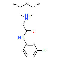 ChemSpider 2D Image | (3R,5S)-1-{2-[(3-Bromophenyl)amino]-2-oxoethyl}-3,5-dimethylpiperidinium | C15H22BrN2O
