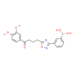 ChemSpider 2D Image | (3-{5-[4-(3,4-Dimethoxyphenyl)-4-oxobutyl]-1,2,4-oxadiazol-3-yl}phenyl)boronic acid | C20H21BN2O6