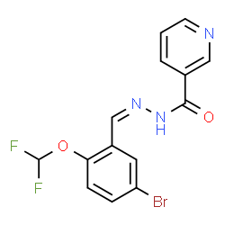 ChemSpider 2D Image | N'-{(Z)-[5-Bromo-2-(difluoromethoxy)phenyl]methylene}nicotinohydrazide | C14H10BrF2N3O2