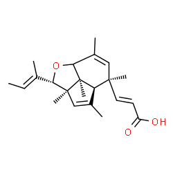 ChemSpider 2D Image | (2E)-3-{(2S,2aR,4aR,5R,7bS)-2-[(2E)-2-Buten-2-yl]-2a,4,5,7,7b-pentamethyl-2,2a,4a,5,7a,7b-hexahydroindeno[7,1-bc]furan-5-yl}acrylic acid | C22H30O3