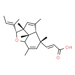 ChemSpider 2D Image | (2E)-3-{(2R,2aR,4aR,5R,7bS)-2-[(2E)-2-Buten-2-yl]-2a,4,5,7,7b-pentamethyl-2,2a,4a,5,7a,7b-hexahydroindeno[7,1-bc]furan-5-yl}acrylic acid | C22H30O3