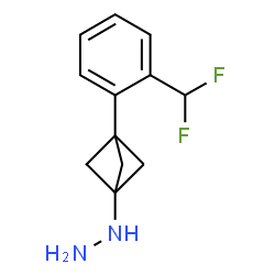 ChemSpider 2D Image | {3-[2-(Difluoromethyl)phenyl]bicyclo[1.1.1]pent-1-yl}hydrazine | C12H14F2N2