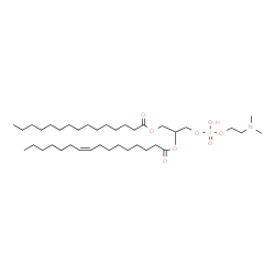 ChemSpider 2D Image | 6-Hydroxy-2-methyl-6-oxido-12-oxo-5,7,11-trioxa-2-aza-6lambda~5~-phosphahexacosan-9-yl (9Z)-9-hexadecenoate | C38H74NO8P
