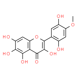 ChemSpider 2D Image | 2-(2,5-Dihydroxy-4-methoxyphenyl)-3,5,6,7-tetrahydroxy-4H-chromen-4-one | C16H12O9