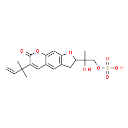 ChemSpider 2D Image | 2-Hydroxy-2-[6-(2-methyl-3-buten-2-yl)-7-oxo-2,3-dihydro-7H-furo[3,2-g]chromen-2-yl]propyl hydrogen sulfate | C19H22O8S