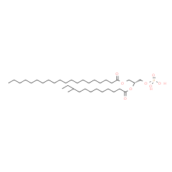 ChemSpider 2D Image | (2R)-2-[(10-Methyldodecanoyl)oxy]-3-(phosphonooxy)propyl icosanoate | C36H71O8P