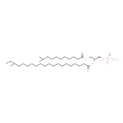 ChemSpider 2D Image | (2R)-1-[(10-Methylundecanoyl)oxy]-3-(phosphonooxy)-2-propanyl 18-methylicosanoate | C36H71O8P