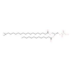 ChemSpider 2D Image | (2R)-3-(Phosphonooxy)-2-(tridecanoyloxy)propyl 18-methylnonadecanoate | C36H71O8P