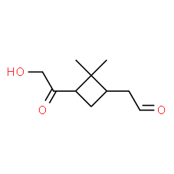 ChemSpider 2D Image | (3-Glycoloyl-2,2-dimethylcyclobutyl)acetaldehyde | C10H16O3