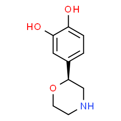 ChemSpider 2D Image | 4-[(2S)-2-Morpholinyl]-1,2-benzenediol | C10H13NO3
