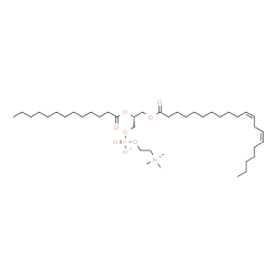 ChemSpider 2D Image | (2R)-3-[(11Z,14Z)-11,14-Icosadienoyloxy]-2-(tridecanoyloxy)propyl 2-(trimethylammonio)ethyl phosphate | C41H78NO8P
