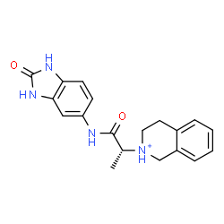 ChemSpider 2D Image | 2-{(2R)-1-Oxo-1-[(2-oxo-2,3-dihydro-1H-benzimidazol-5-yl)amino]-2-propanyl}-1,2,3,4-tetrahydroisoquinolinium | C19H21N4O2