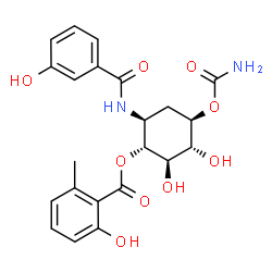 ChemSpider 2D Image | (1R,2R,3R,4R,6S)-4-(Carbamoyloxy)-2,3-dihydroxy-6-[(3-hydroxybenzoyl)amino]cyclohexyl 2-hydroxy-6-methylbenzoate | C22H24N2O9