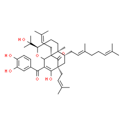 ChemSpider 2D Image | (1S,6R,9S,10R,13R)-3-(3,4-Dihydroxybenzoyl)-13-[(2E)-3,7-dimethyl-2,6-octadien-1-yl]-2-hydroxy-6-(2-hydroxy-2-propanyl)-9-methyl-1,10-bis(3-methyl-2-buten-1-yl)-5-oxatricyclo[7.2.2.0~4,10~]tridec-2-en
-11-one | C43H60O7