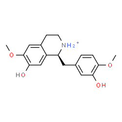 ChemSpider 2D Image | (1S)-7-Hydroxy-1-(3-hydroxy-4-methoxybenzyl)-6-methoxy-1,2,3,4-tetrahydroisoquinolinium | C18H22NO4