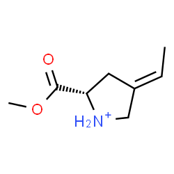 ChemSpider 2D Image | (2S,4E)-4-Ethylidene-2-(methoxycarbonyl)pyrrolidinium | C8H14NO2