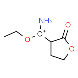 ChemSpider 2D Image | Amino(ethoxy)(2-oxotetrahydro-3-furanyl)methylium | C7H12NO3