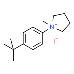 ChemSpider 2D Image | 1-Methyl-1-[4-(2-methyl-2-propanyl)phenyl]pyrrolidinium iodide | C15H24IN