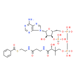 ChemSpider 2D Image | cyclohexa-2,5-diene-1-carbonyl-CoA | C28H42N7O17P3S